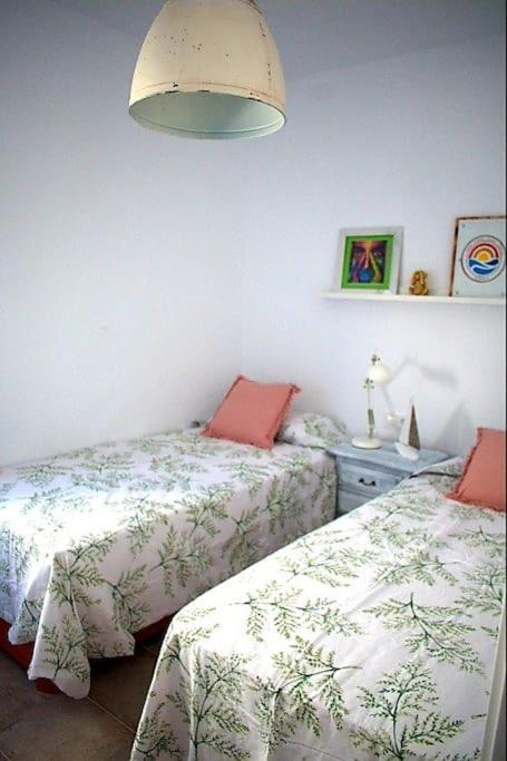 Apartamento Espectacular casa muy luminosa con azotea Conil De La Frontera Exterior foto